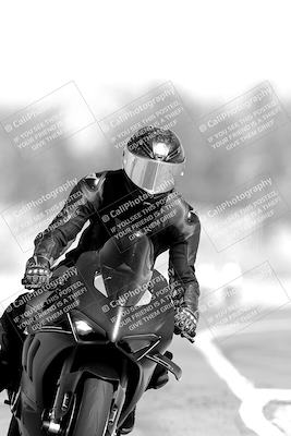 media/Nov-06-2023-Moto Forza (Mon) [[ce023d0744]]/4-Beginner Group/Session 3 (Track Exit)/